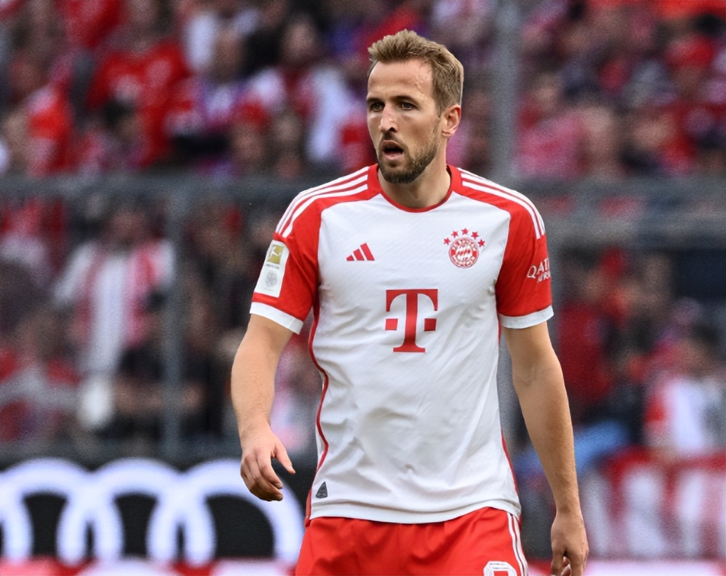 应同样明显 应同样明显